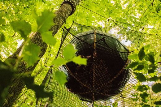 Bulle dans les arbres «Skye» en Bretagne (Finistère)