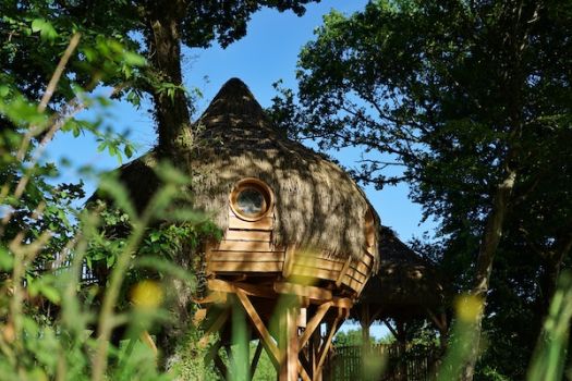 Cabane perchée « Kelso » SPA en Bretagne