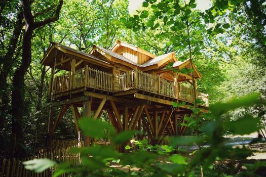 Cabane perchée «Nessie» en Bretagne avec spa