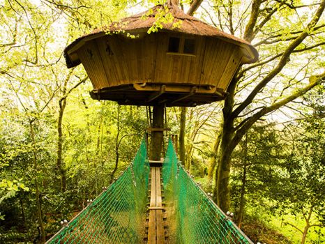 Cabane dans les arbres «Ben Nevis» en Bretagne