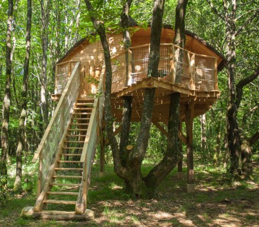 Cabane dans les arbres «Tinto» en Bretagne