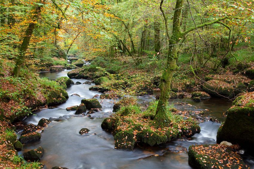 La magnifique forêt d'Huelgoat dans le Finistère