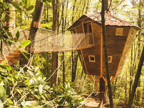 Cabane dans les arbres «Ben Lomond» en Bretagne